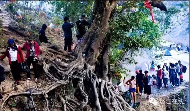 新春到登埂温泉，赴一场春天的盛宴