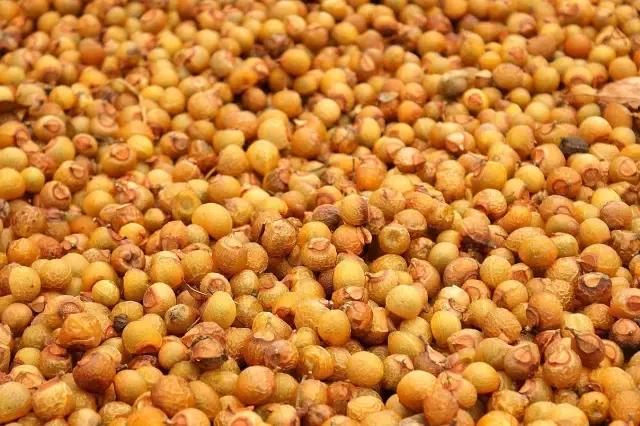 福建汀州土特产,福建零食特产有哪些