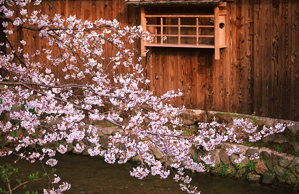 日本中部升龙道最佳旅游月份,升龙道游玩顺序