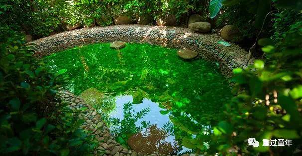 常州恐龙园省钱攻略,常州恐龙园恐龙穿越侏罗纪