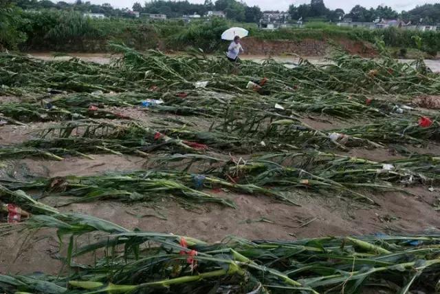 李劲松昭通,昭通李劲松