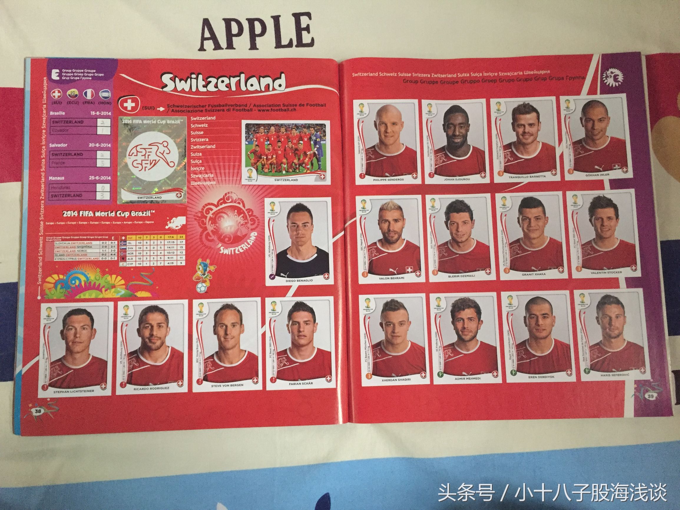 帕尼尼世界杯贴纸,帕尼尼2022世界杯收藏贴纸