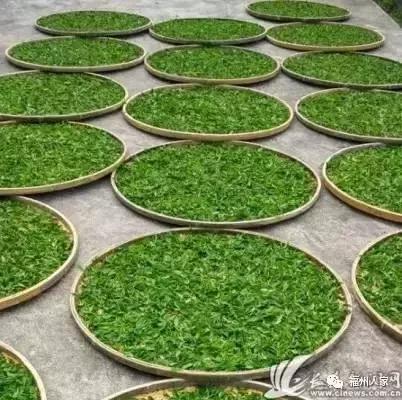 福建汀州土特产,福建零食特产有哪些