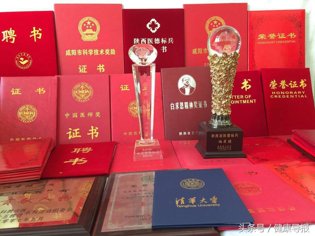 柏本健简历,柏本健