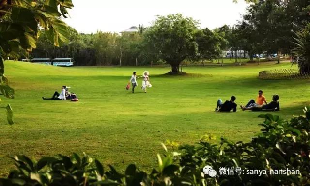 2019纽约时报全球52个必去之地,纽约时报评出一生必去的10个地方