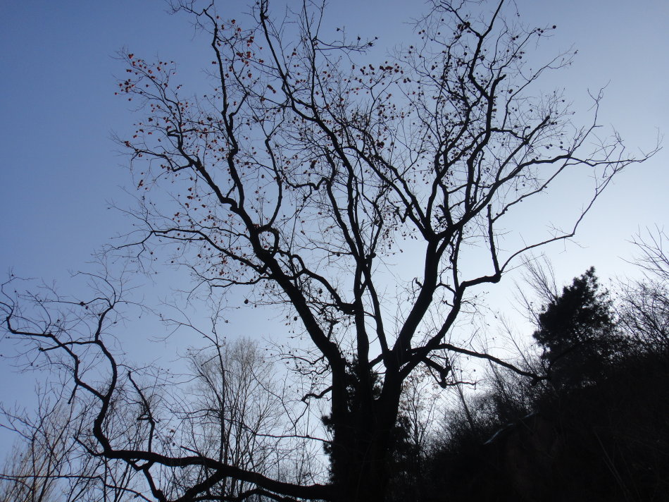 辉县盘上有哪些山,辉县盘上航拍