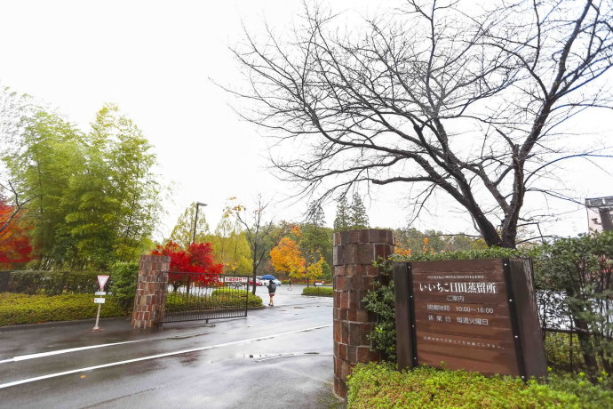 冬日和闺蜜出游,3天2夜的温泉之旅