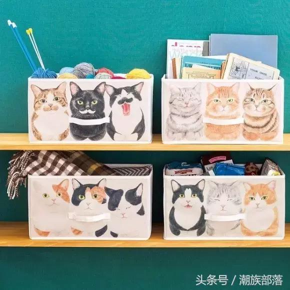 猫控营养补充剂,猫控