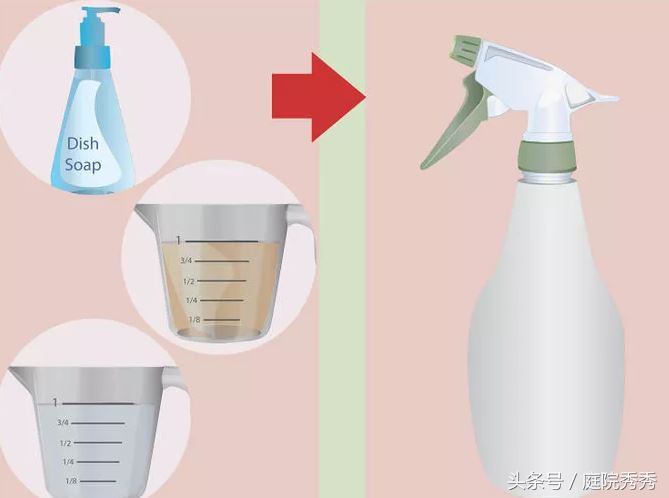 家庭园艺常用杀虫剂,固体杀虫剂使用方法养花