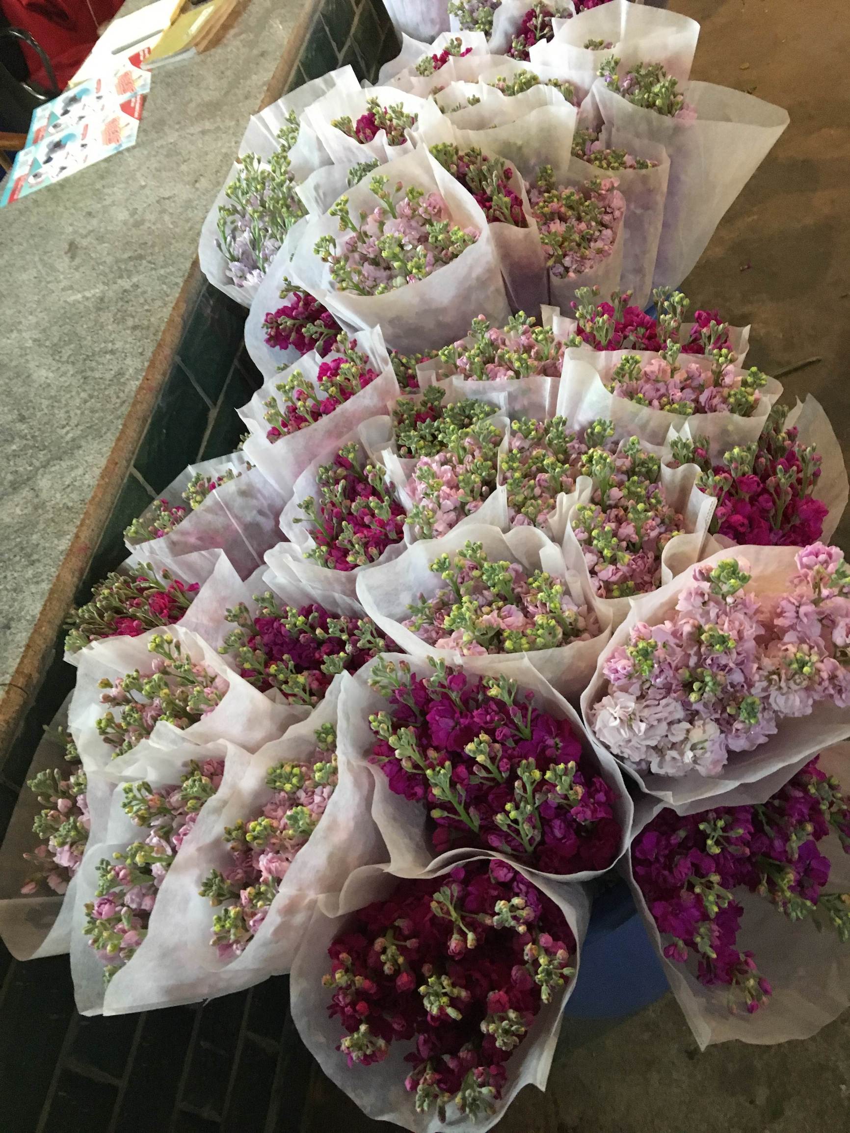 年宵花市探“鲜”记（一）之孤独的花大姐