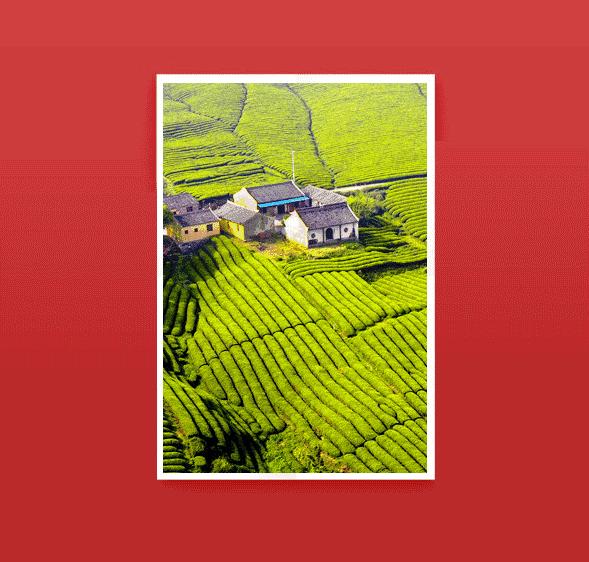 “新·海曙”名片｜在龙观，每一件不想忘记的事情，都默默长成了记忆