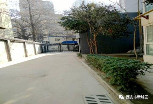 院长大搞翻新改造工程,院长翻天覆地的生活