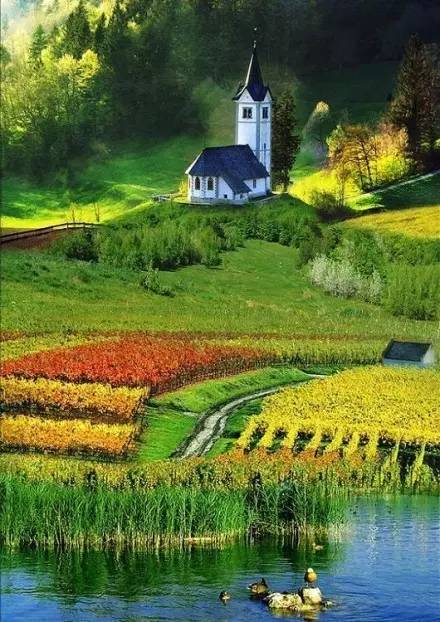 古诗最美田园诗,诗词美句