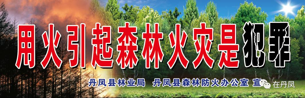 全民支付宝集福活动又上线了，半小时8万多人已经集满福，攻略很简单，你还在等什么