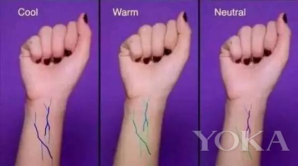 杨幂家中有钱吗,杨幂家里有多少钱