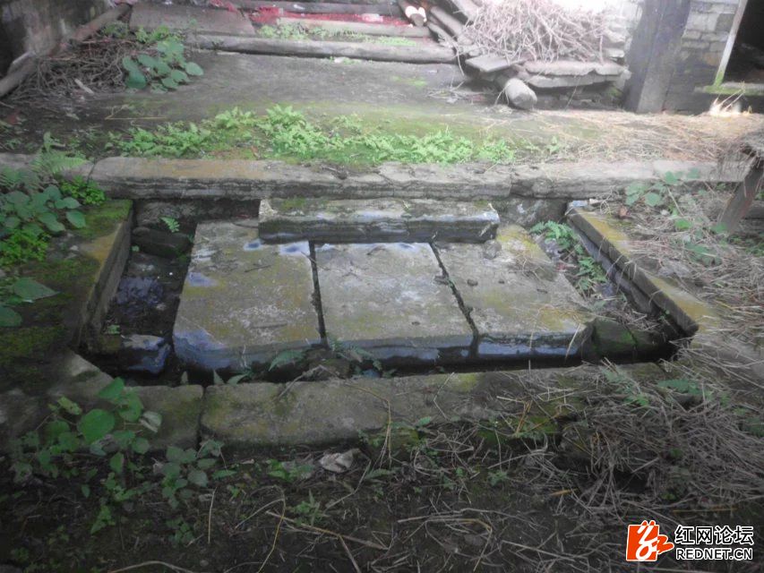 <html>
<head><title>502BadGateway</title></head>
<body>
<center><h1>502BadGateway</h1></center>
<hr><center>nginx</center>
</body>
</html>
<!--apaddingtodisableMSIEandChromefriendlyerrorpage-->
<!--apaddingtodisableMSIEandChromefriendlyerrorpage-->
<!--apaddingtodisableMSIEandChromefriendlyerrorpage-->
<!--apaddingtodisableMSIEandChromefriendlyerrorpage-->
<!--apaddingtodisableMSIEandChromefriendlyerrorpage-->
<!--apaddingtodisableMSIEandChromefriendlyerrorpage-->
