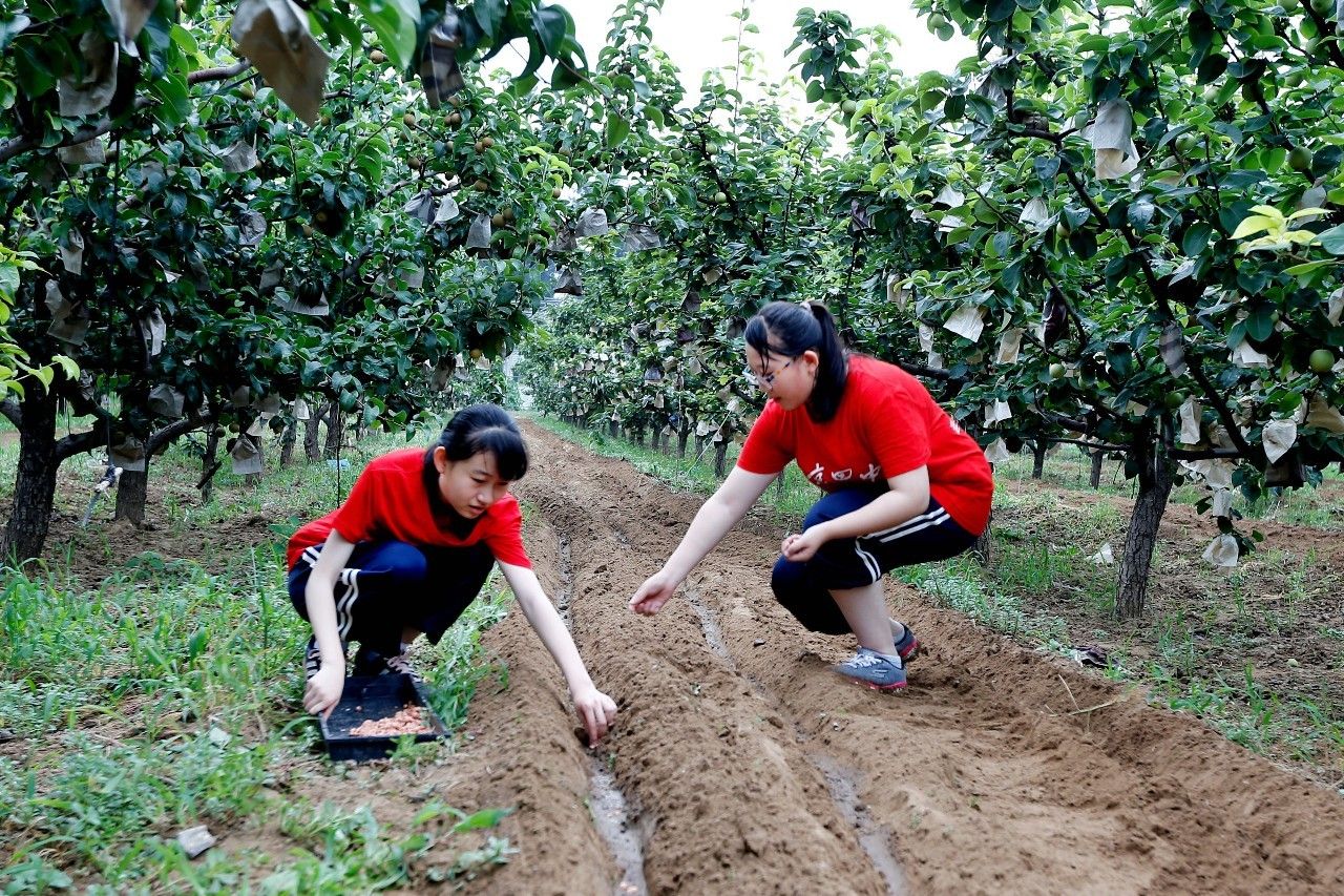 够给力！培养学生素养，北京亮点“辣”么多！（2016北京教育大扫描2）｜聚焦