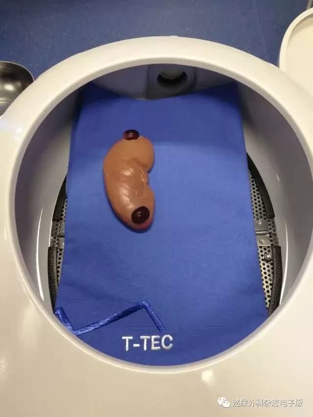 求技于workshop，问道于亚洲厅堂——亚洲泌尿外科培训教育集团（AUSTEG）上尿路腹腔镜外科培训班侧记之求技篇