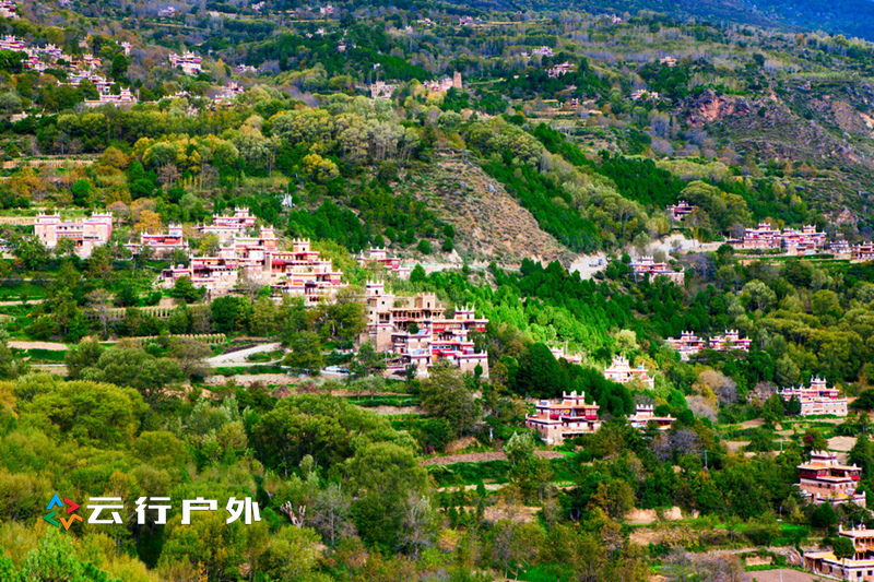 2019年成都自驾林芝看桃花,金川梨花赏花路线