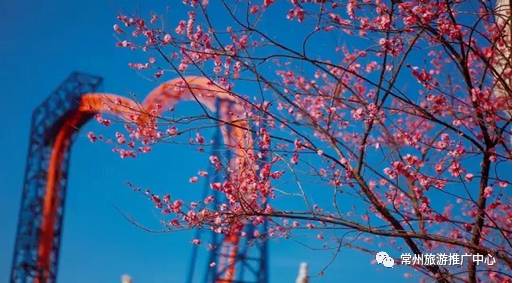 「实用篇」常州必备通讯录,有了它玩遍常州不用愁!