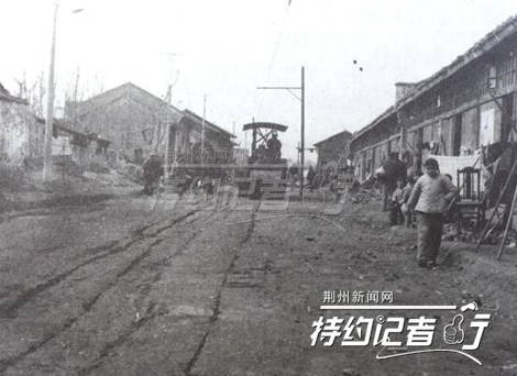 特约记者行郁金香完整版,特约记者行最新视频