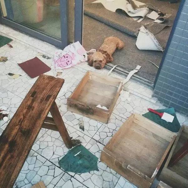 无底线提升千元出租屋品味，看90后美少年怎样活出无数人向往的样子……