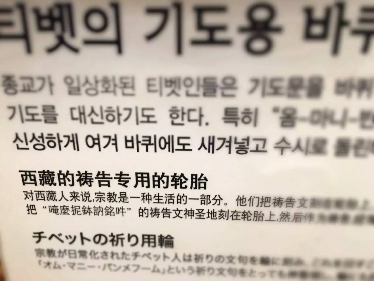 网红景点与网红店，就是济州岛正确的打开方式｜攻略