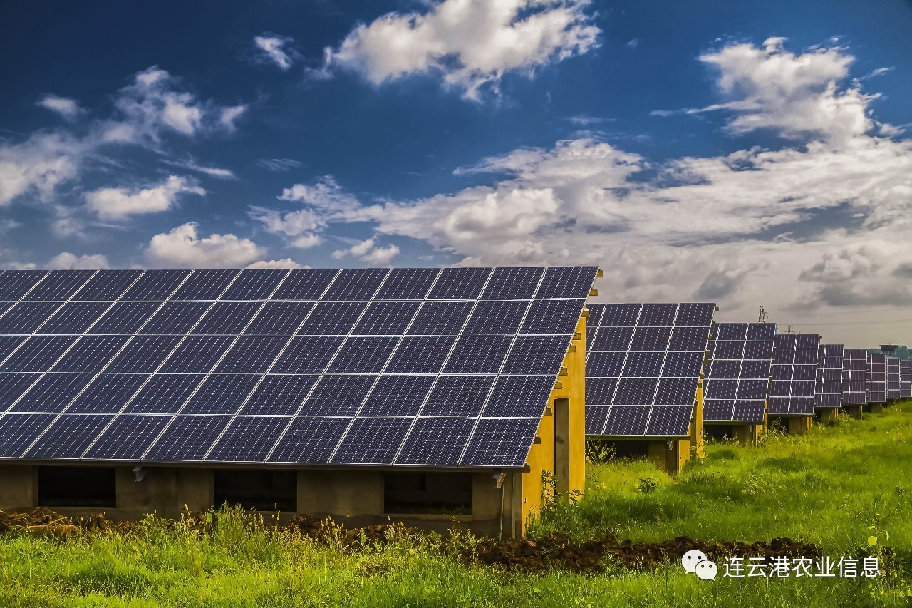 现代农业十强十佳名单,我省农业交出亮眼成绩单