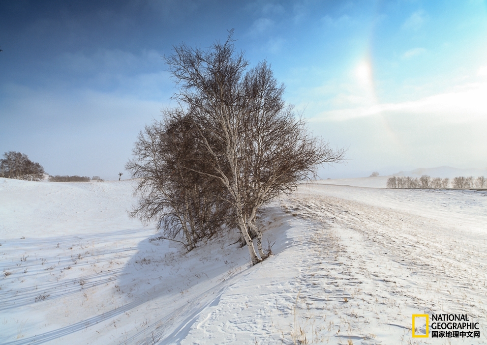 趁冬天还没有来临之前去一趟,一起到坝上去看雪