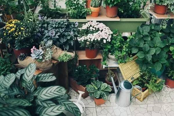 无底线提升千元出租屋品味，看90后美少年怎样活出无数人向往的样子……