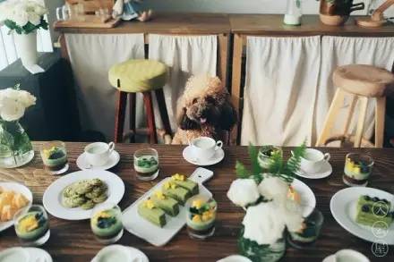 无底线提升千元出租屋品味，看90后美少年怎样活出无数人向往的样子……