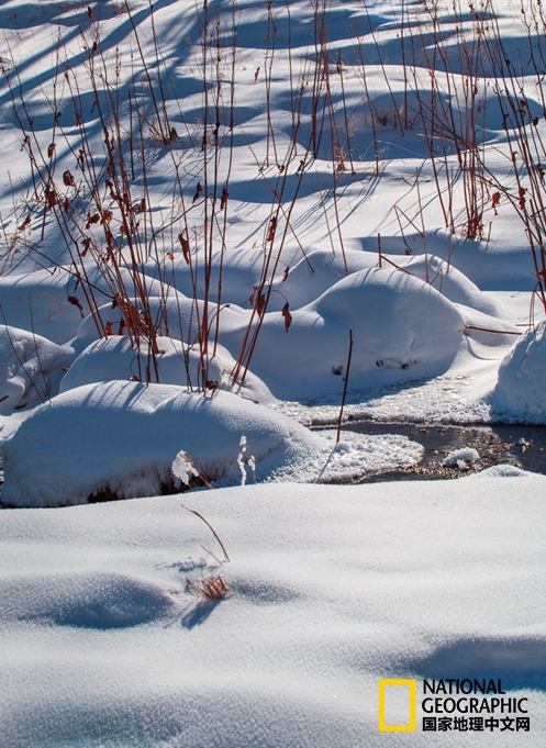 趁冬天还没有来临之前去一趟,一起到坝上去看雪