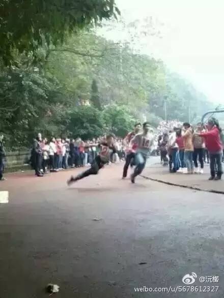 太搞笑了的图片,太搞笑了配图