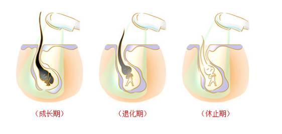 快上车，老司机教你什么才是这个季节的“*光脱**术”！