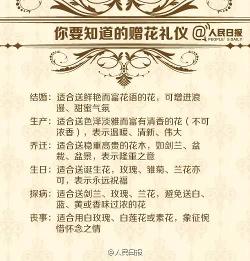 各种鲜花花语介绍大全简短,鲜花介绍花语大全简短一点