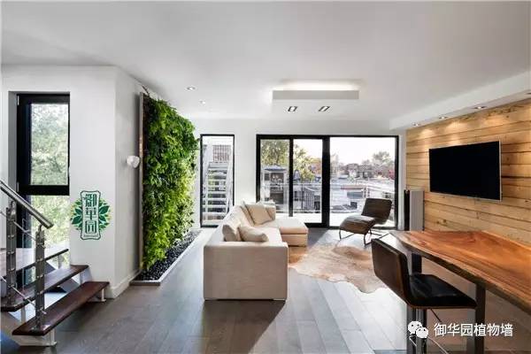 室内植物墙优缺点,摆放型植物墙设计步骤