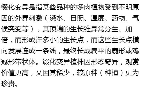 秀肉肉｜多肉老桩的5大形态，每一个我都爱！