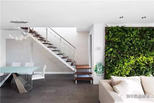 室内植物墙优缺点,摆放型植物墙设计步骤