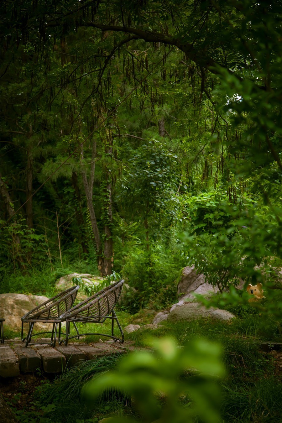 在被称做“东方瑞士”的仙境，她盖了一座令人心境荡漾的房子，森林与大海都在后花园里