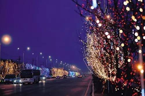 沈阳正月十五赏花灯,正月十五闹花灯沈阳好去处推荐