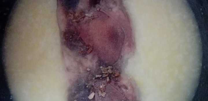 年味大作战本山传媒,年味十足的鞭炮大作战