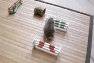 幸福君妙趣图文-现在这种米花机应该很少人知道了吧