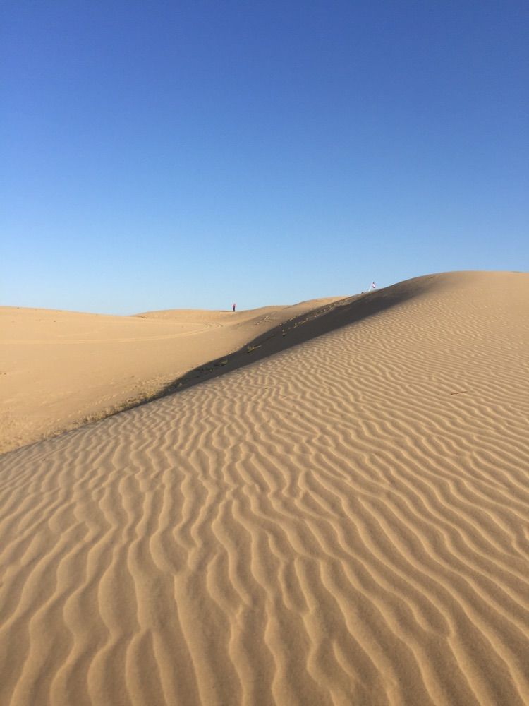 我爱远方风景,我爱远方和自由