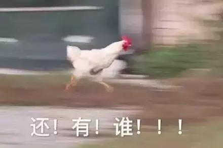 各大牌鸡年限定款,外国人对“鸡”有什么误会?