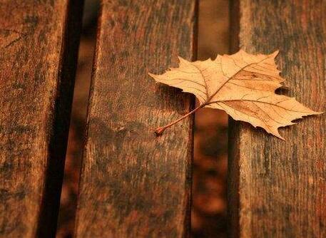 白癜风发病的诱因能查出来吗,赵毅白癜风治疗药物