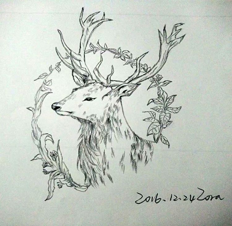 涂鸦的乐趣中班教案反思,涂鸦的乐趣完整版