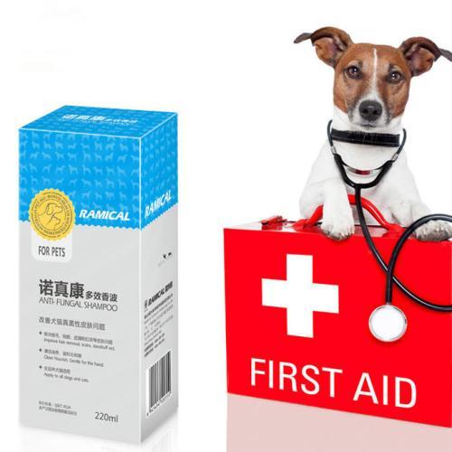 除了吃狗粮还吃什么,除了吃狗粮狗狗吃什么营养更均衡