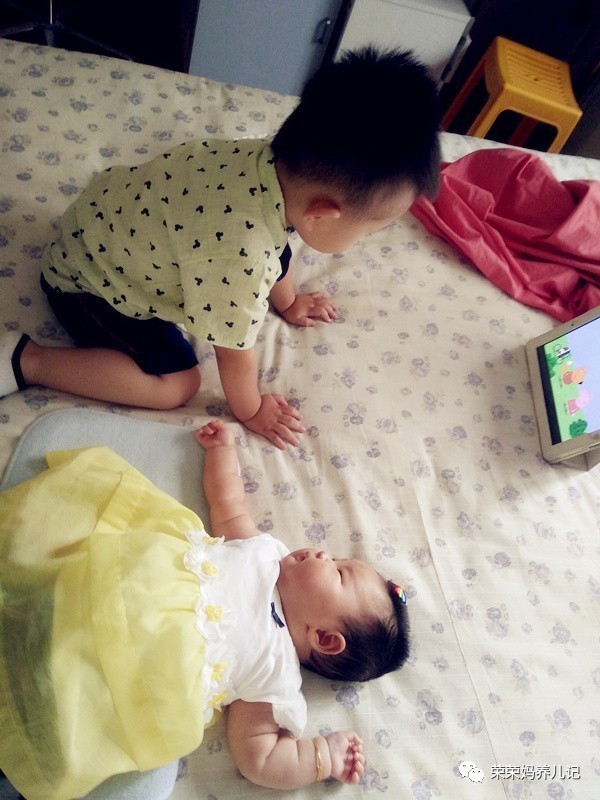 过年怎能不虐狗,逗比兄妹的年终总结