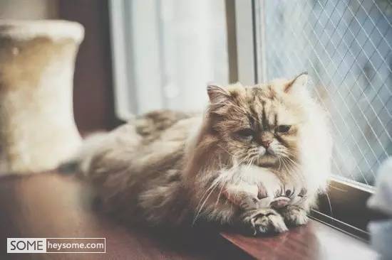 骑自行车很优雅,骑单车就得骑出优雅的感觉