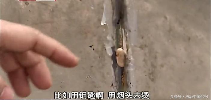 湖北男子携一家四口到宁波雅戈尔动物园游玩，不料就此丢了性命